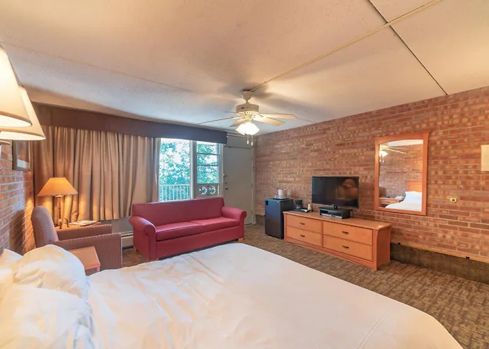 Mountain Chalet Snowmass